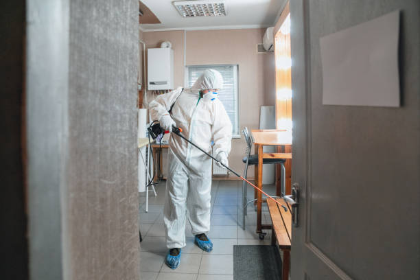 Mold Remediation for Rental Properties in South Tucson, AZ